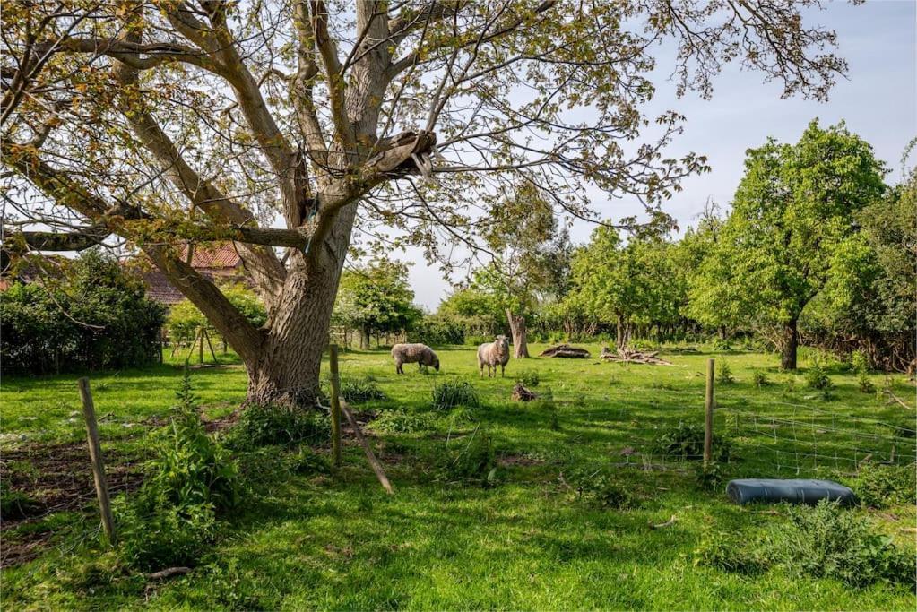 Charming Flat In Lovely Rural Location